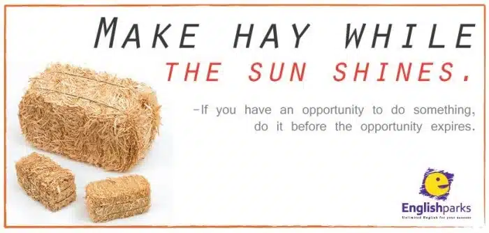 make-hay-while-the-sun-shines